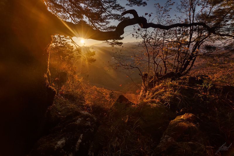 Утро нового дня.photo preview