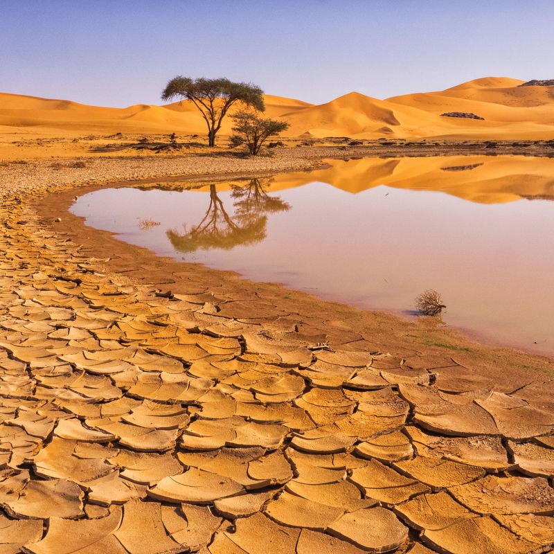 пустыня, оазис, песок, дюны, африка, алжир, сахара, отражение, тадрарт Оазисphoto preview