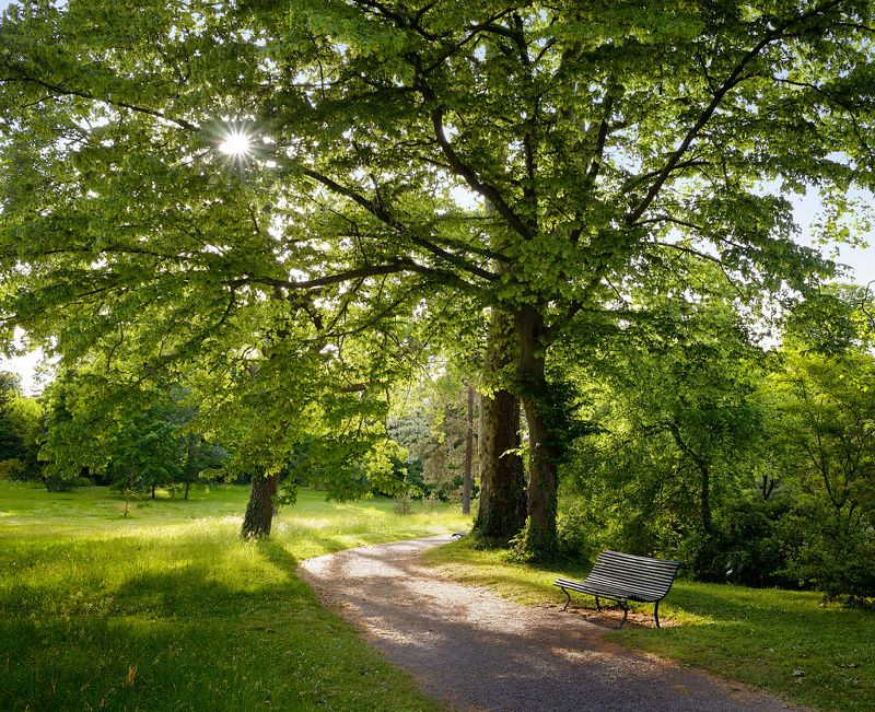 зеленая скамейкаphoto preview