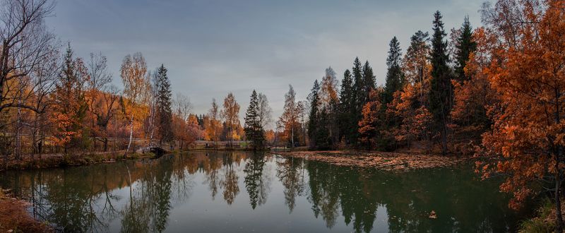 подмосоквье, октябрь Эта осень...photo preview
