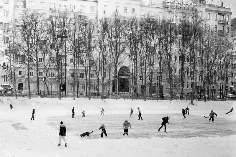 Патрикиphoto preview