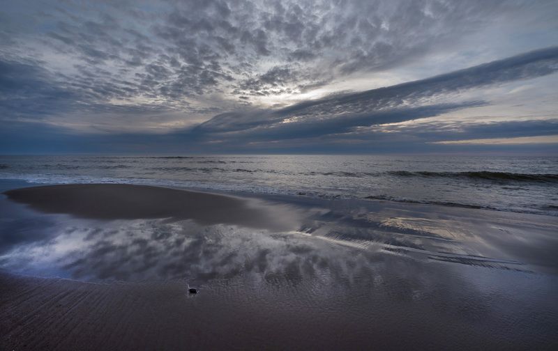 Перьяphoto preview