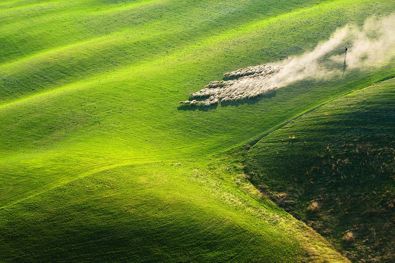 tuscany In the rushphoto preview