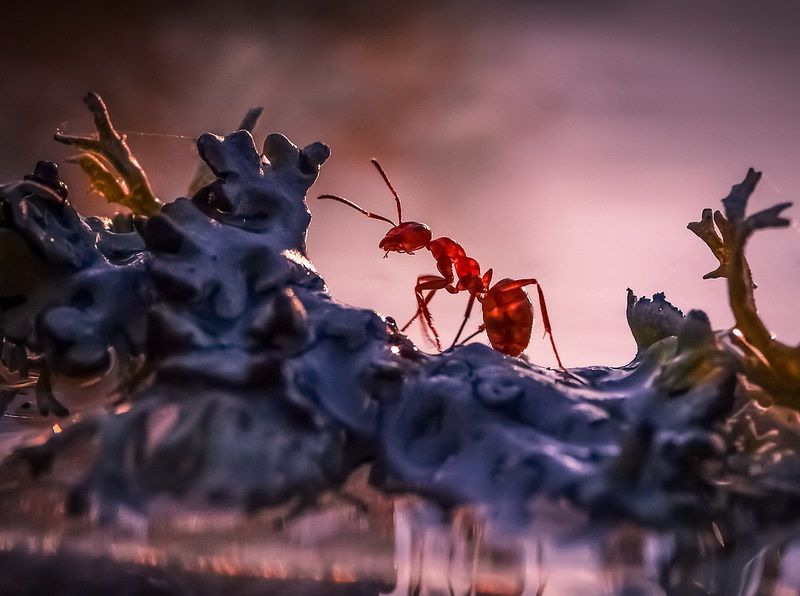 По ухабистым тропинкамphoto preview