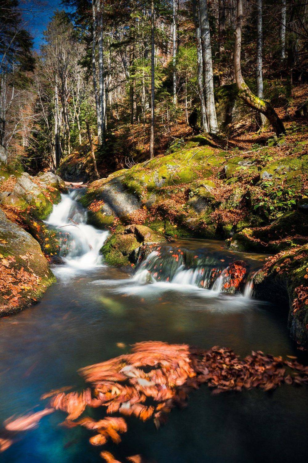 #autumn #bulgaria #national park central balkan, Mая Врънгова