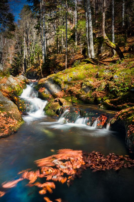 #autumn #bulgaria #national park central balkan Run along the streamphoto preview