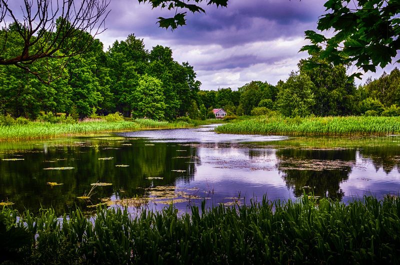 пруда, вода, размышления, лето Спокойствиеphoto preview