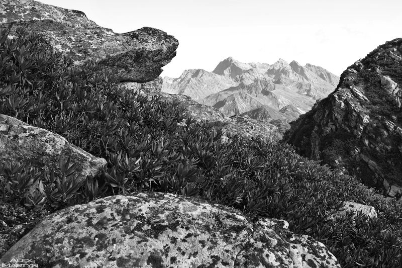 горы, розахутор, роза, розапик, каменныйстолб, простор, обзор, камень, небо, чб ***photo preview