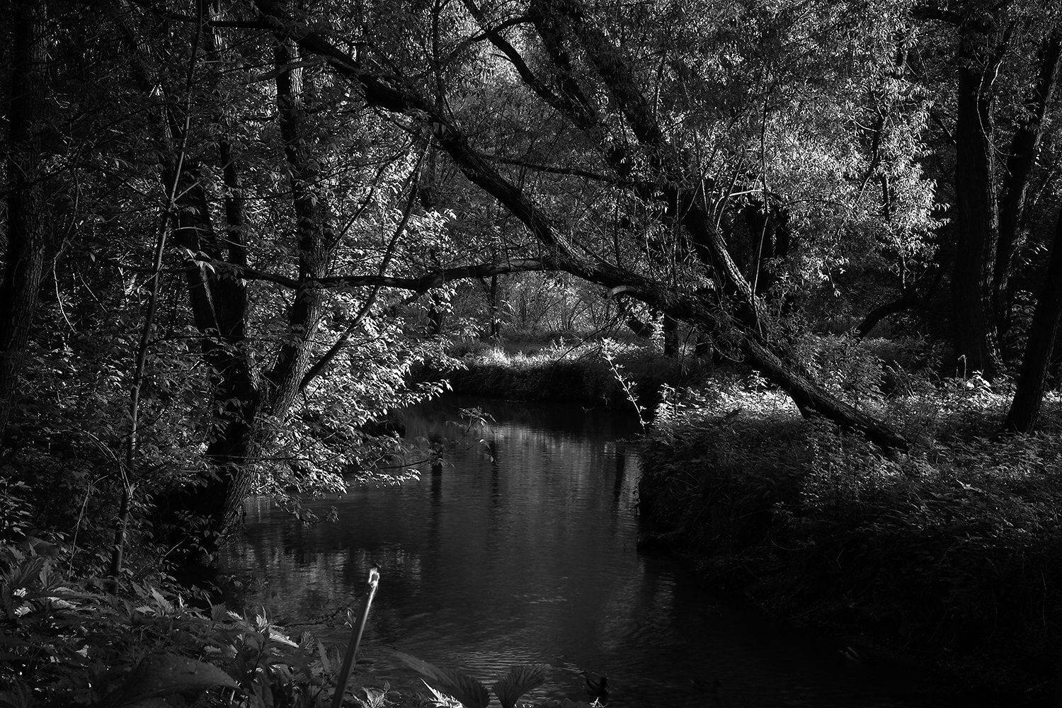 Автор: максим роговой , максим роговой