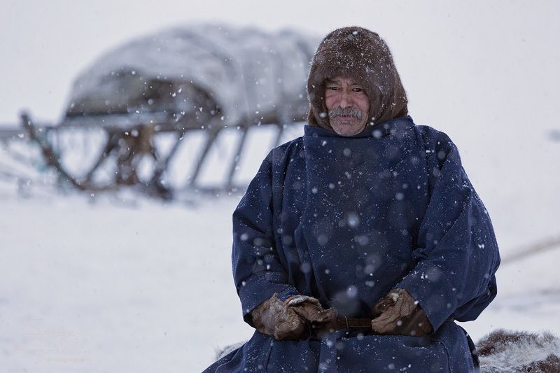 ямал, полярный урал, ненцы Алексейphoto preview