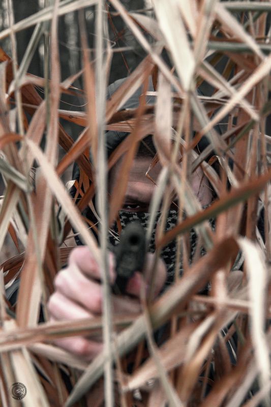 пистолет, убийца, человек, оружие, выстрел, лес, внезапность,  Внезапно...photo preview