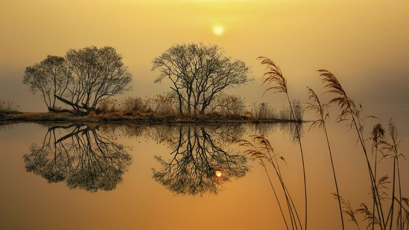 reflection, tree, sunrise, winter, water, riverside, river, morning, landscape garden of waterphoto preview