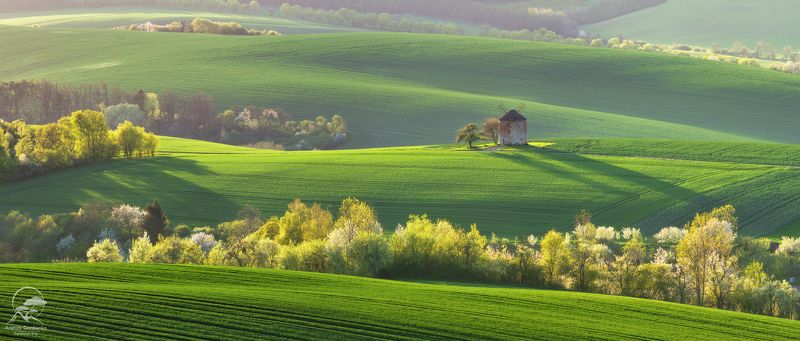 пейзаж, природа, поле, моравия, чехия, мельница \