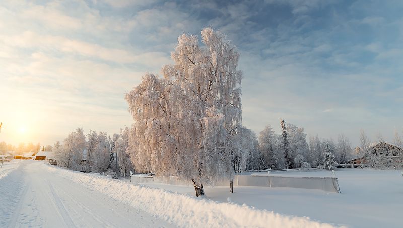 зима,коми,природа,север,закат,мороз,снег,деревня,иней,winter, komi, nature, north, sunset, frost, snow, village, frost Ну вот и зимаphoto preview