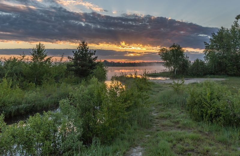 утро, рассвет, озеро Тропинка к озеруphoto preview