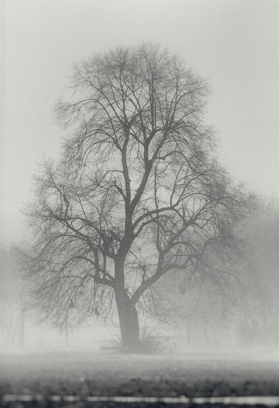 Туманphoto preview