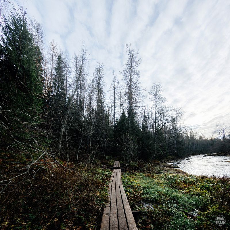 парк,лес,леса,заповедник,деревья,природа,пейзаж,река,вода,ель,ели,елки,природа,туризм,путешествие,россия Линдуловская рощаphoto preview