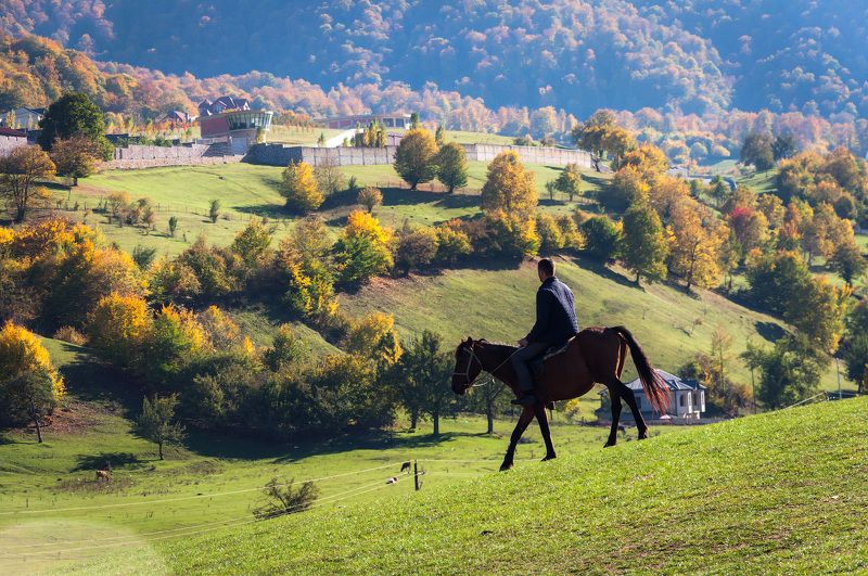 Всадник и осеньphoto preview