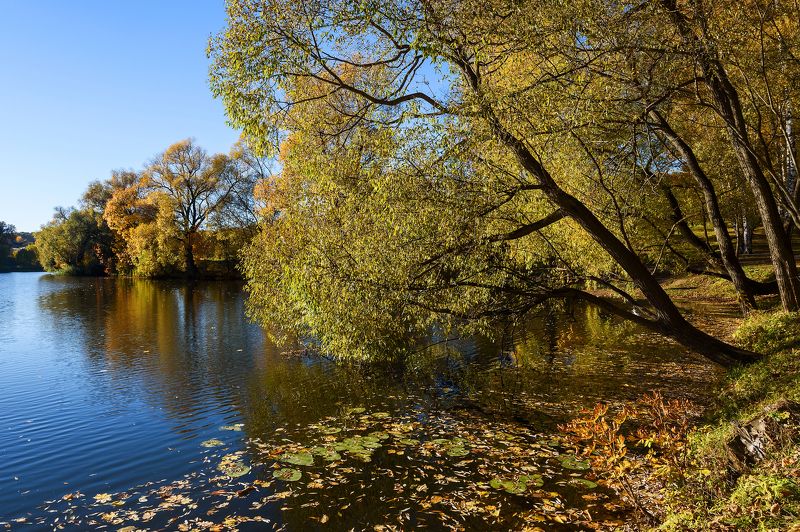 Осеньphoto preview