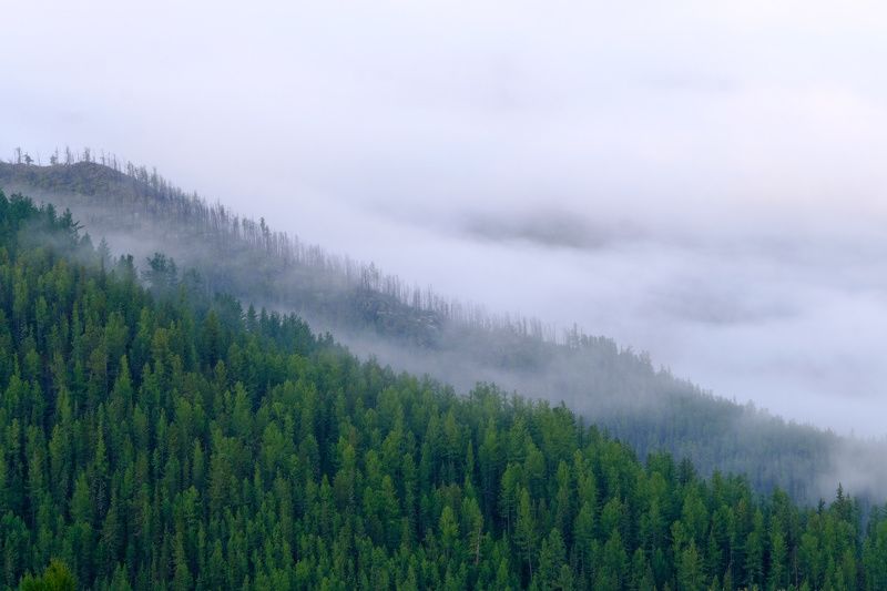 Туманыphoto preview