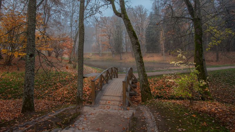 Тригорское, Псковская обл., октябрь, утро. Осень, я давно с тобою не был...photo preview