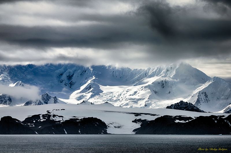 Антарктида 23 фото превью