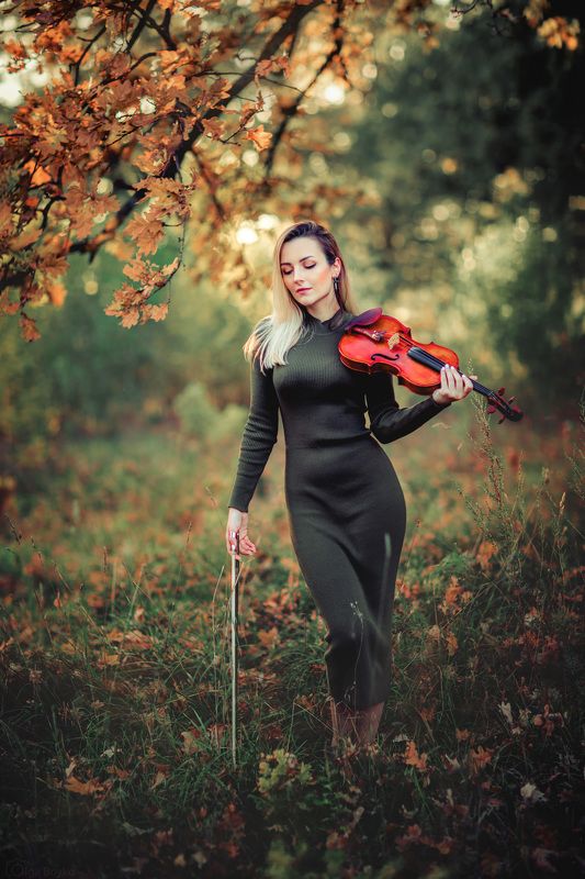 Autumn melodyphoto preview