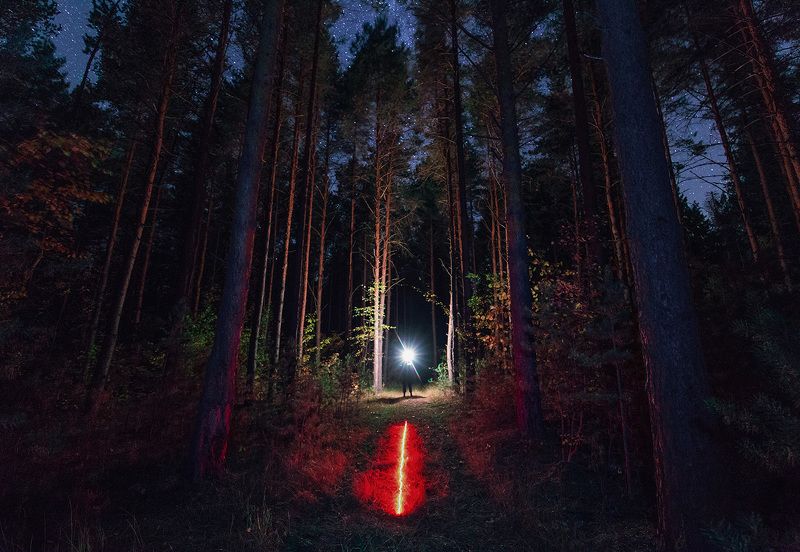 Движение к светуphoto preview