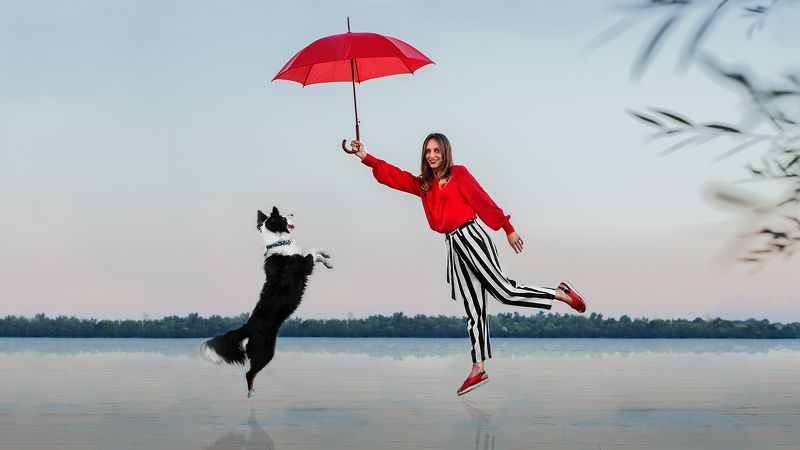 собака, человек, река Dreamsphoto preview