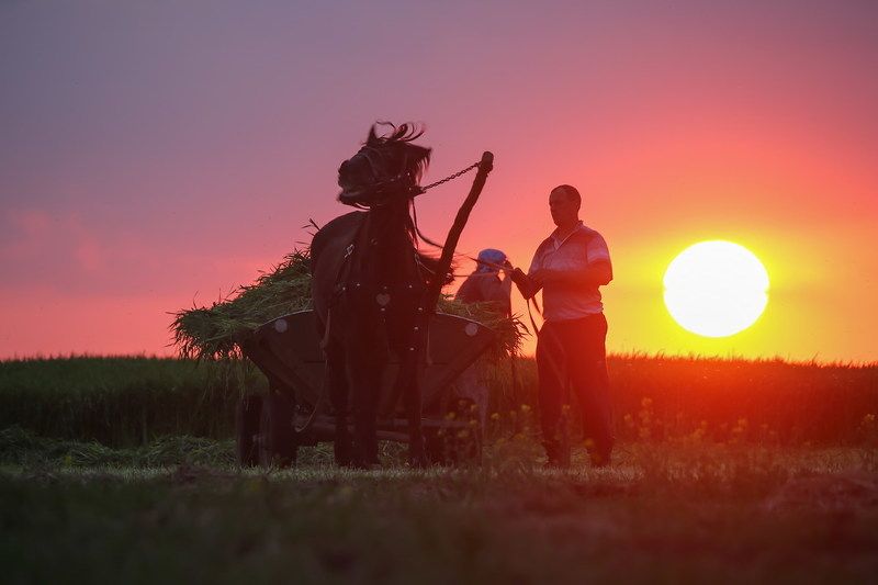 І сонце спатоньки зовеphoto preview