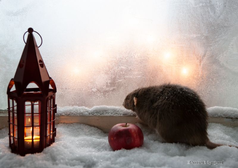 О  всех тех. кто замерзает...photo preview