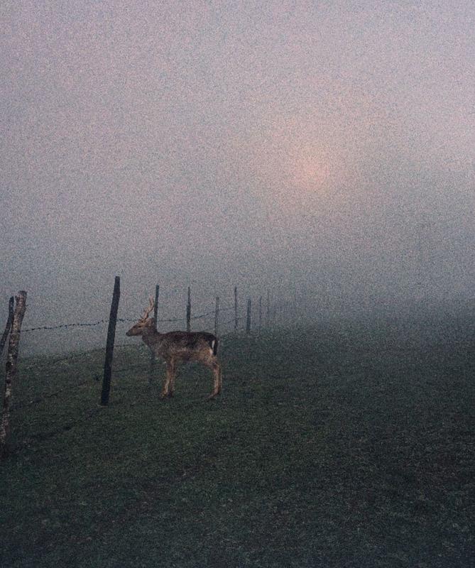 #hosseinmehrzad #myfeatureshoot #friendsinperson #حسین_مهرزاد #theweekoninstagram #everybodystreet #everydayeverywhere #persianlikes #hartcollective #reportagespotlight #uspiran #lensculturetalent #heatercentral #phroommagazine #friendsinperson #streetpho Maral in fogphoto preview