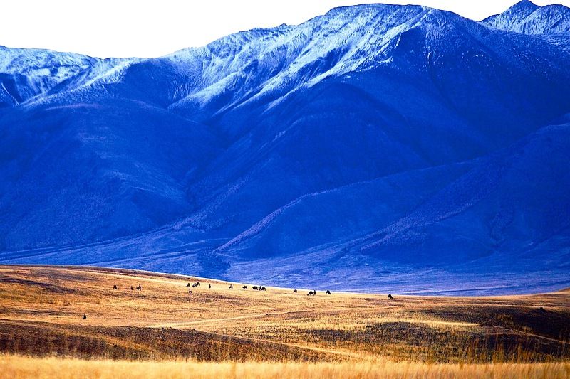 синее громадьё фото превью