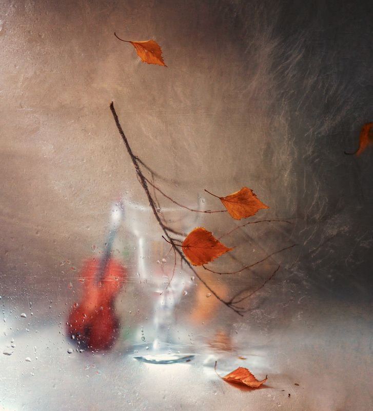 натюрморт, полиэтилен, осень, скрипка, дождь А одинокой скрипки звуки..photo preview