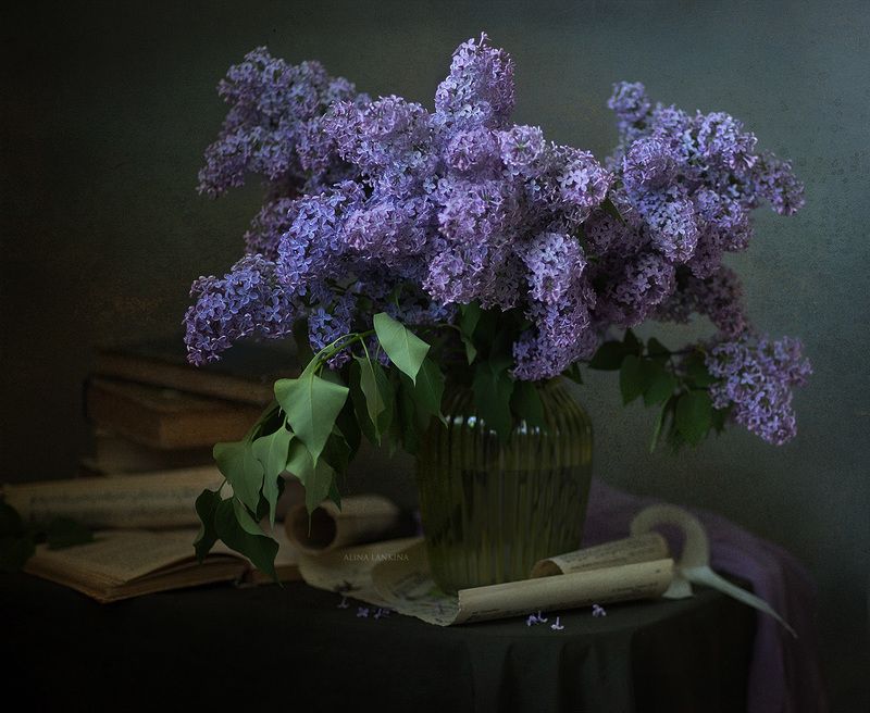 сирень, натюрморт, весна, май, книга, свет, вечер, настроение, алина ланкина, цветы, ваза, букет ***photo preview
