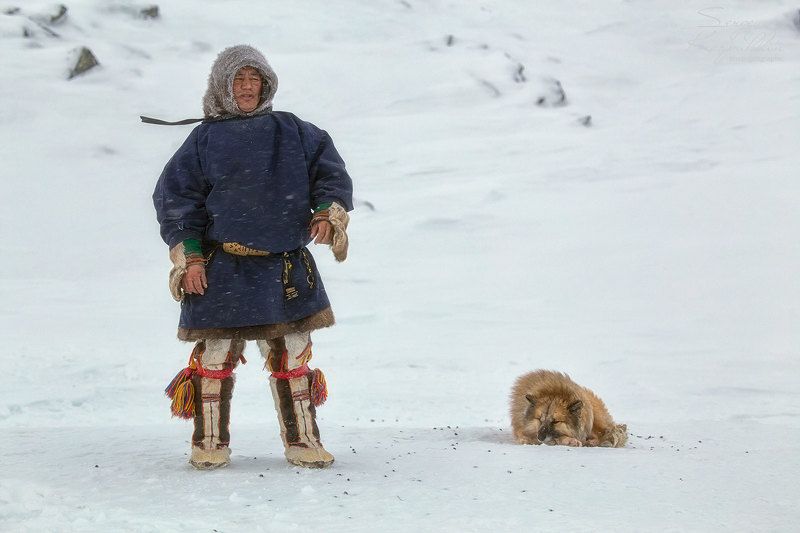 полярный урал, ямал, ненцы На ветруphoto preview