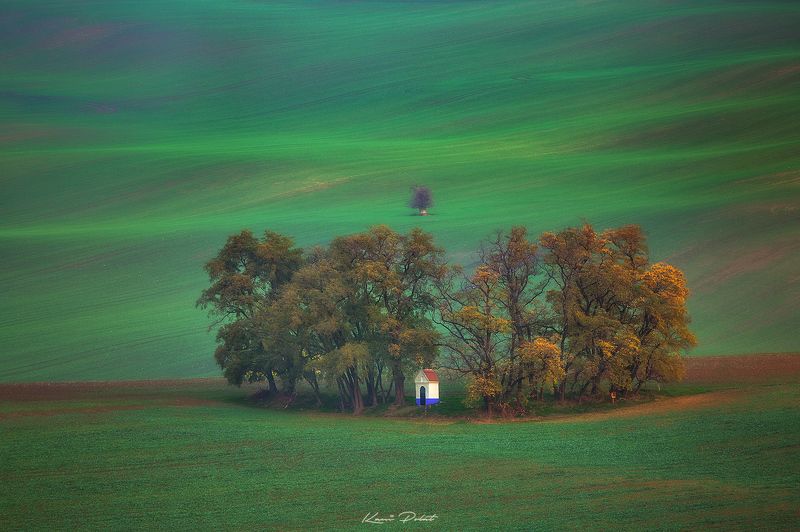 Santa barbara\'s autumnal decorationphoto preview