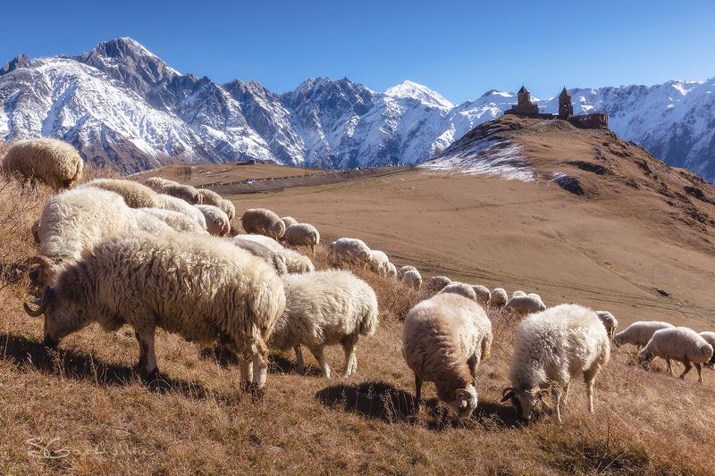 Гергети, Троицкая церковь, Казбек, Казбеги, Грузия Троицкая церковь, Гергети, Грузия фото превью