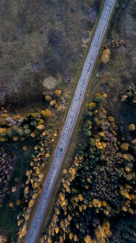 ярославская область, осень Сквозь осеньphoto preview