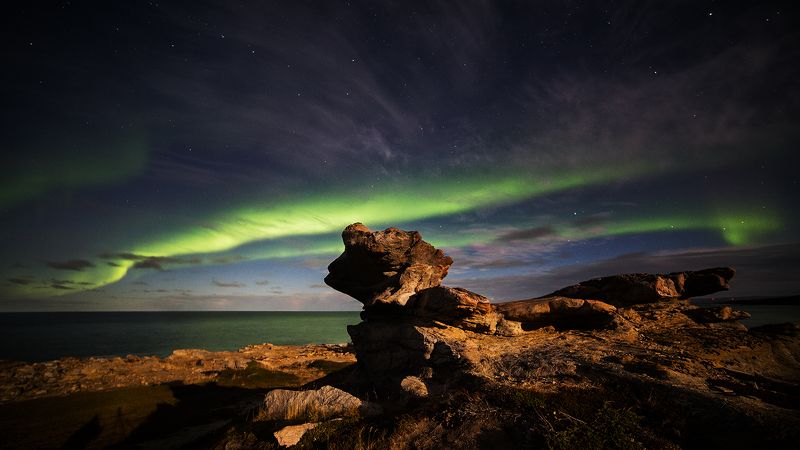 Лунный драконphoto preview