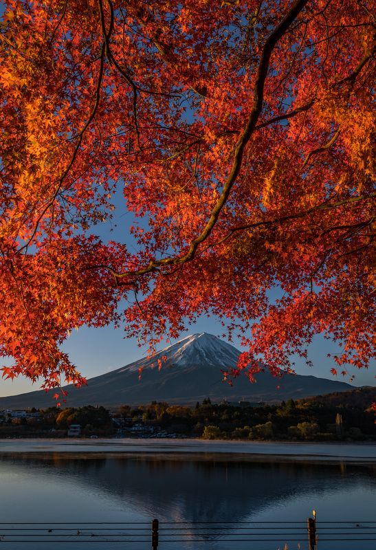 fuji, landscape, japan, autumn, nature, mountain, lake, japan Beautiful Mount Fuji!photo preview