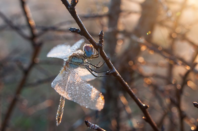 Sunrisephoto preview