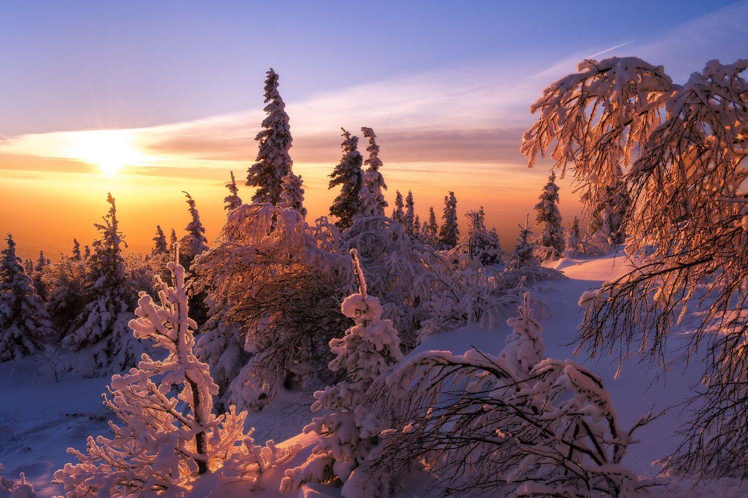 , Андрей Шарапов