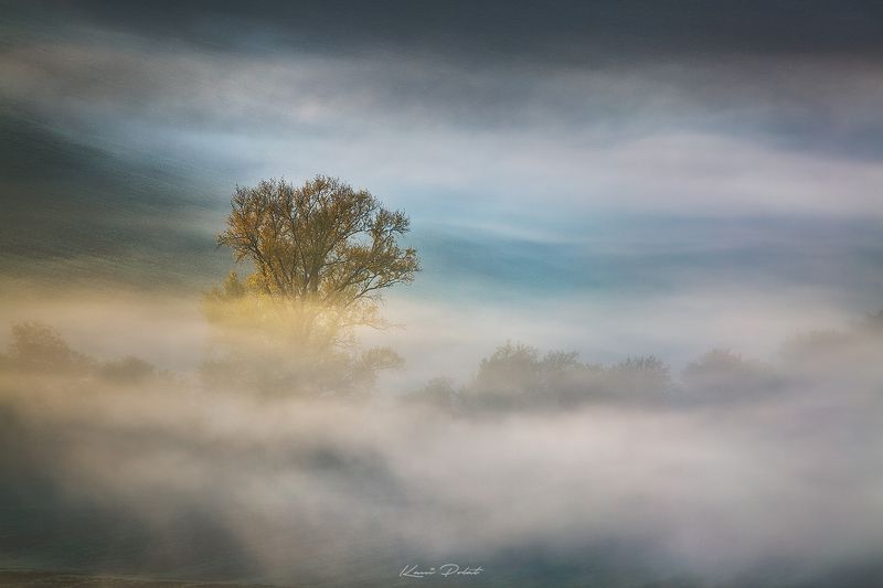 Moravian dreamphoto preview