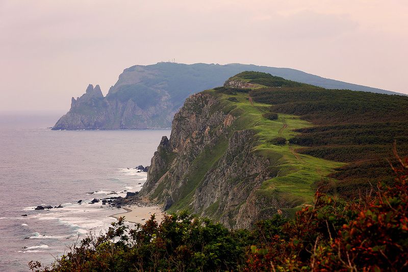 When the wild wind blowsphoto preview