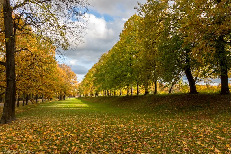 Autumn in Peterhofphoto preview