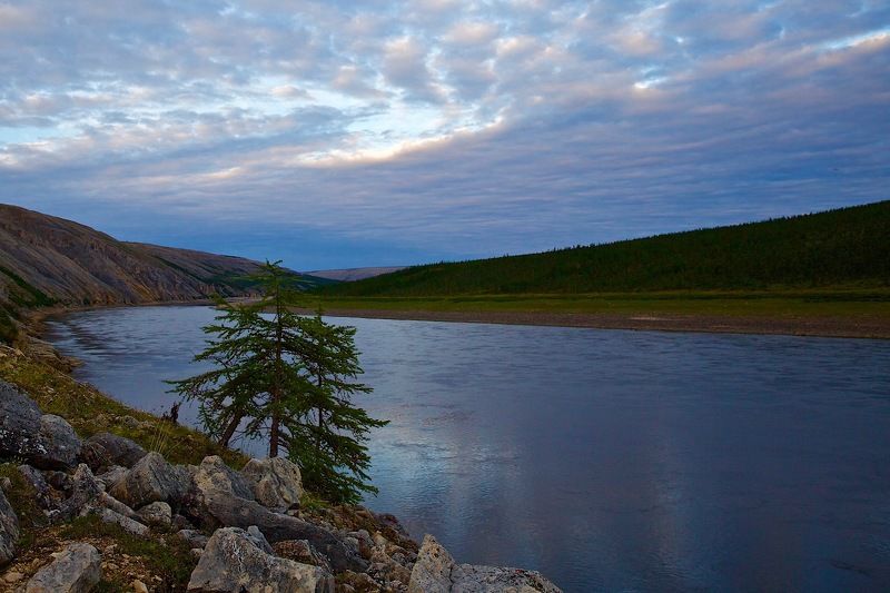 на реке Котуй фото превью