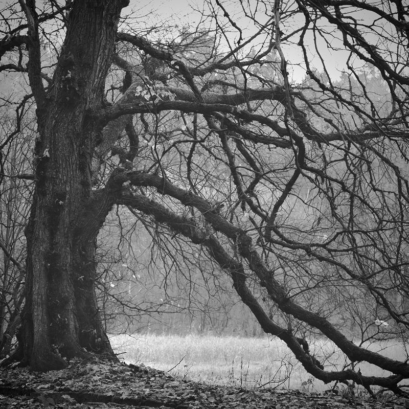 thoughtsphoto preview