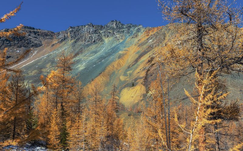 алтай, куюктонар, осенний алтай Этот осенний , осенний, осенний .... Алтайphoto preview