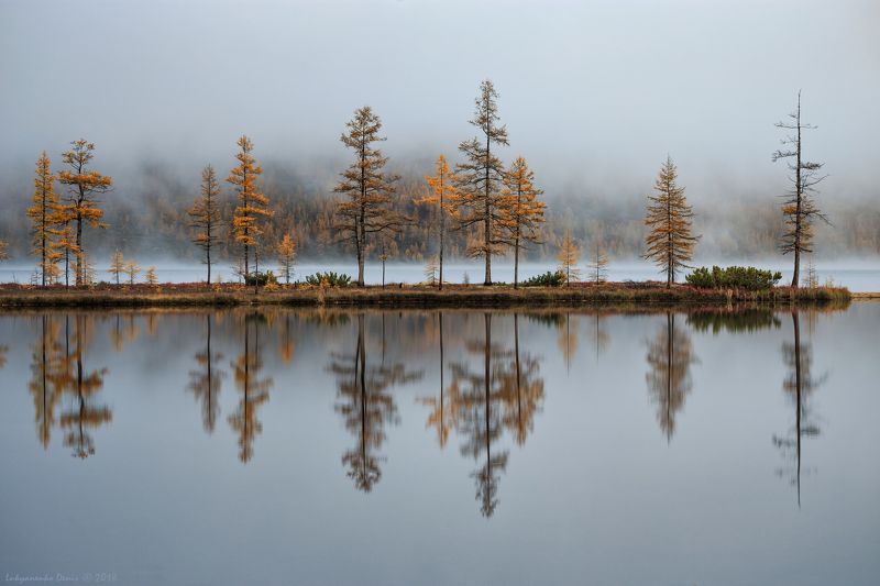 2018, россия, колыма, утро, осень, горы, лиственницы, деревья, туман, отражение В зазеркалье Колымыphoto preview